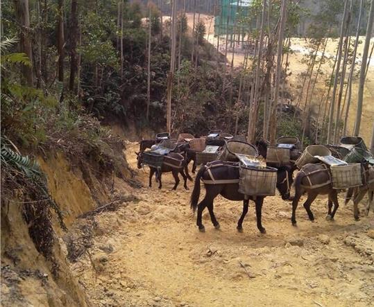 安徽马帮山路运输