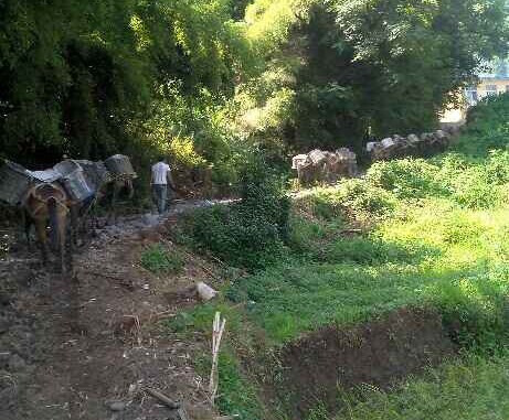 安徽马帮运输队