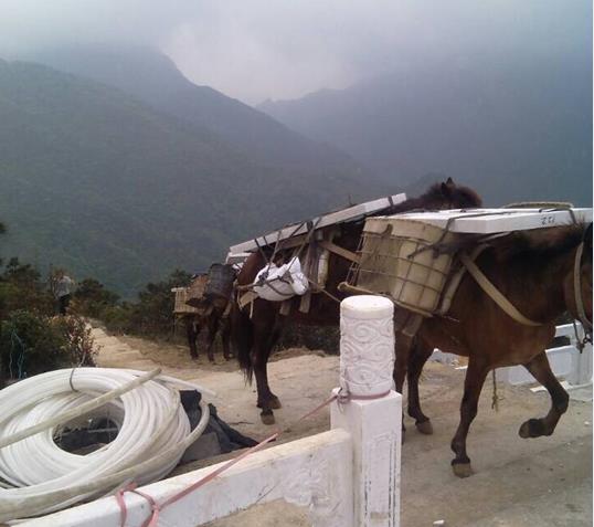 安徽山区马帮运输