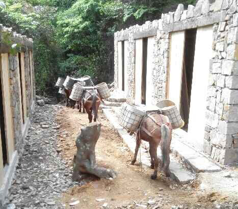 安徽马队运输队