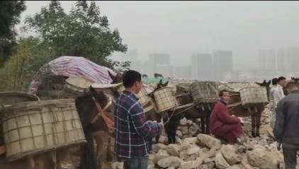 安徽骡马山区运输