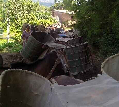 安徽骡马运输队