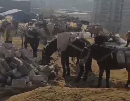 安徽马队山路运输